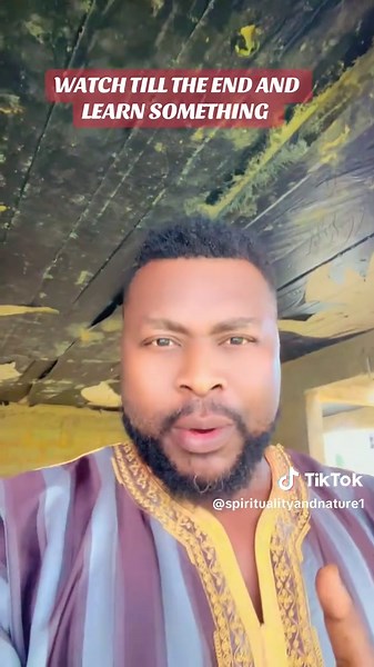 Exploring Spirituality Through Nature and Water Lilies