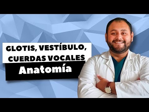 ANATOMIA DE LA GLOTIS Y CUERDAS VOCALES