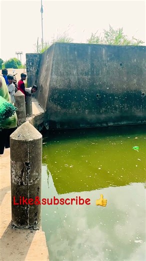 how to throw a cast net tamil | விசிறி வலை மீன் பிடித்தல் | visiri valai | fishing tamil| #shorts