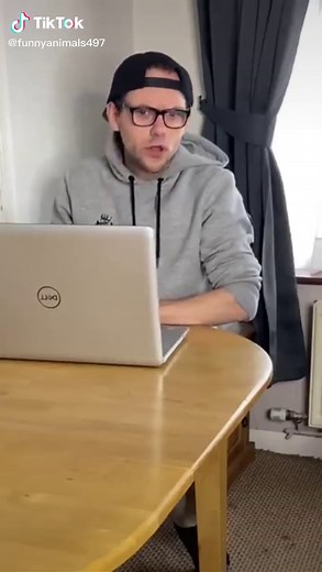 Hilarious Cat Videos: Try Not to Laugh Challenge