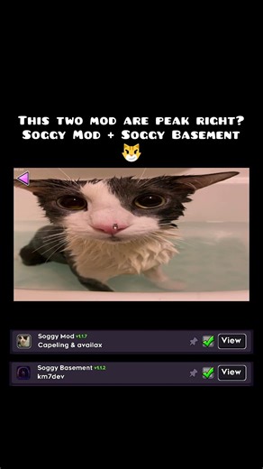 Soggy Cat Mods in GD🐈