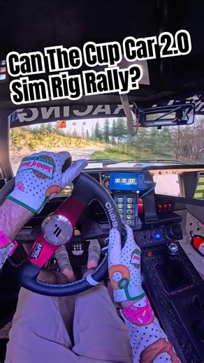 Rally Modded the Sim Rig for Some Assetto Corsa