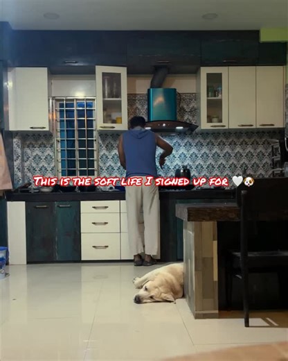 Mickey is not a Mouse on Instagram