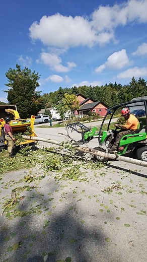 Way too much fun @avanttecnousa #localbusiness #arborist | Cut-Rite Tree Service
