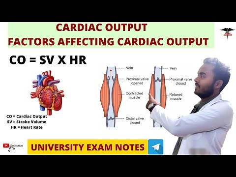 Cardiac Output || Factors Affecting Cardiac Output | CVS Physiology