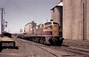 New South Wales 43 class locomotive - Alchetron, the free social encyclopedia
