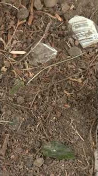 Rochester baseball league asks city for help with field conditions
