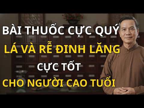 6 Cách Dùng Cây Đinh Lăng Tốt Như Sâm Người Trên 60 Tuổi Cần Biết