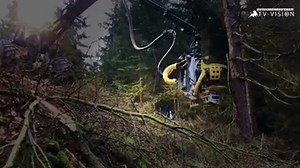 33K views · 553 reactions | KOTSCHENREUTHER Forstspezialschlepper K220R mit Kesla Harvesterkopf RH 25 II im Einsatz am Steilhang. Euer KOTSCHENREUTHER Team | Kotschenreuther Forst-& Landtechnik | Facebook