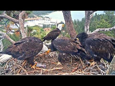 FAMILY TIME & 4 FISH DELIVERY! JACKIE & SHADOW ~ PRECIOUS MOMENTS w/ SANDY & LUNA ♥ FOBBVCAM 6.23.26