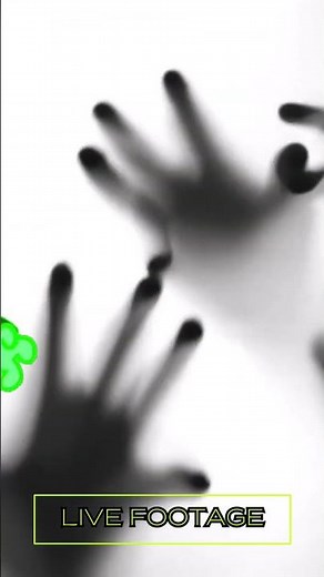 Happy Tree Friends: Flippy Halloween Special #6 Are You Scared?