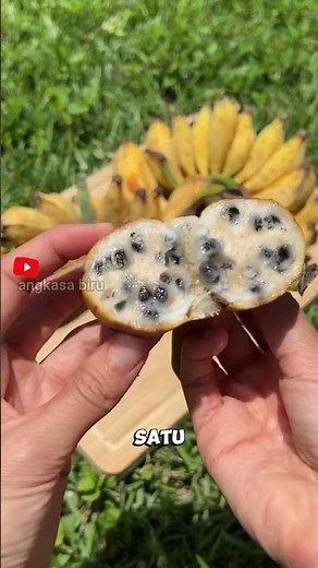 Science Facts That Will Blow Your Mind! 🍌 Are Bananas Berry?