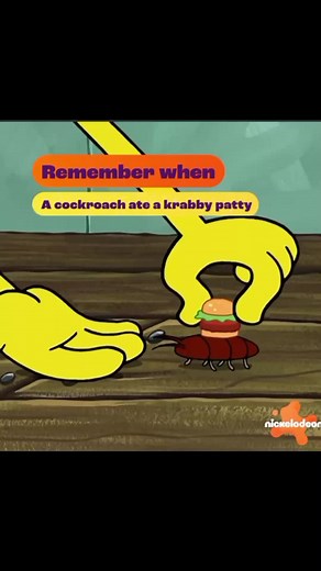 SpongeBob Cockroach Feeding Video Compilation