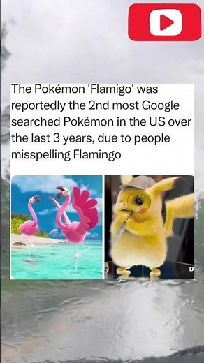 LMK Who You Think the Most Searched #Pokemon Was? 🧐😅