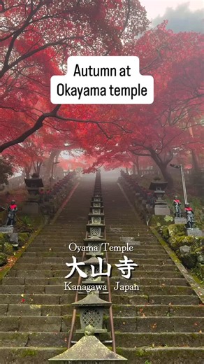 This is Autumn 🍁 at Okayama temple ⛩️ | Edo Japan Travel