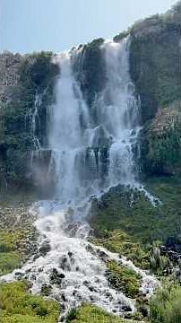 Ritter Island at Thousand Springs State Park - Hagerman, Idaho #waterfall #hiking #stateparks