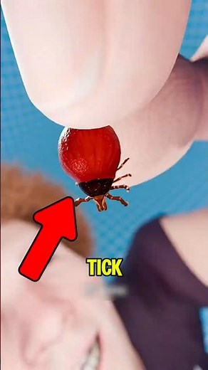 Never Rip Out a Tick! The Dangerous Mistake That Could Cause Infection