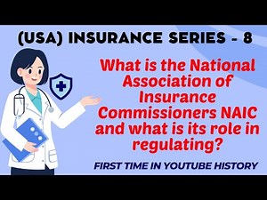 What is the National Association of Insurance Commissioners NAIC and what is its role in regulating?