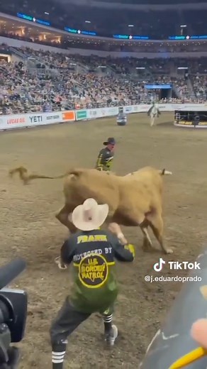Exciting Rodeo Action: Bulls and Clowns in Arena