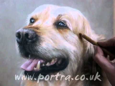 Speed Painting - Dog in Pastels - Golden Retriever