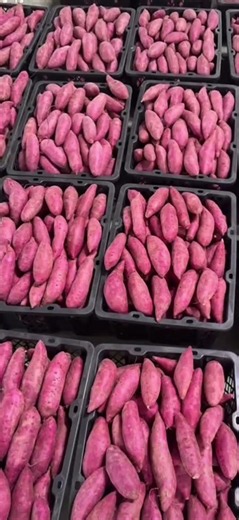 Purple Potato Delight: TikTok's Top 5 Ways to Savor the Crop