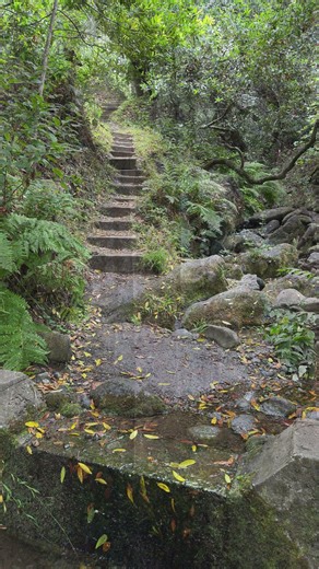 Tilden Nature Area (Berkeley) - Laurel Canyon, Wildcat Peak, Sylvan and Jewel Lake Loop