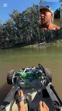 Day 20 of my Murray river kayaking trip from the mountains to the sea. 31kms down and now over 640k