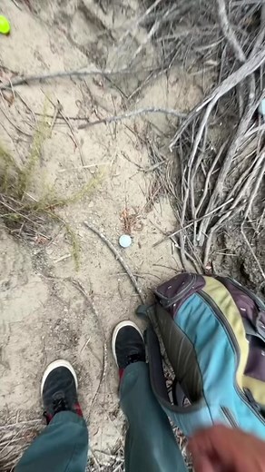 Encountering Snakes While Golfing - What Kind of Snakes Are They?