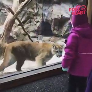 145K views · 198 reactions | Only walls can keep us apart! 殺 | Poke My Heart | Facebook