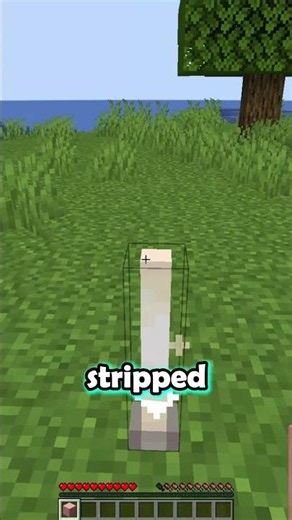 Cotton Candy in Minecraft!