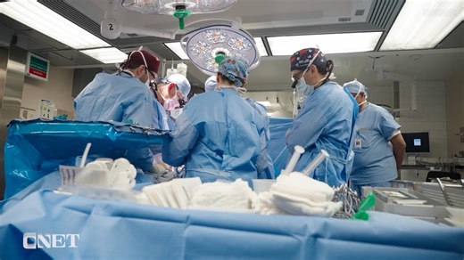 Biotech company eGenesis recently announced its second patient implanted with a pig kidney. This animal-to-human organ transplant, or xenotransplant, was made possible through advancements in gene-editing and cloning. | CNET