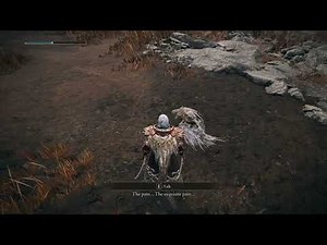 1st Meeting with Igon screaming in pain in the Middle of The Road