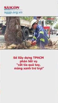 Ho Chi Minh City Department of Construction responds to the "over-pruning, leaving green areas ba...