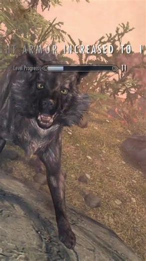 Parzi gets all the nommies | #raychufox on #Twitch