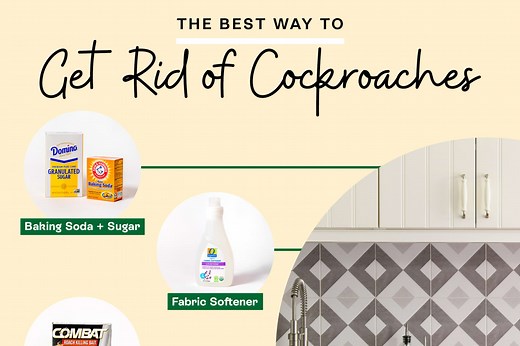 We “Tested” 5 Ways to Get Rid of Cockroaches — Here’s What Really Worked