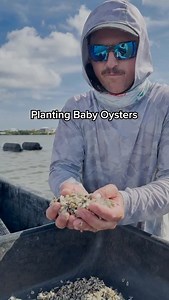 288K views · 27K reactions | The time has come! These adorable baby oysters are full grown in less than 6 months 勞 Just in time for Thanksgiving 旅 I know I’m thankful for my boy @hutch.jake coming out to the farm and making this edit 﫶 Holler at me if you want a bag! #oysters #oysterfarm #seafood #rawbar #daytonaeats #orlandoeats #nsbeats #commercialfishing #smallbusiness #thanksgiving #explore | Sharkbite Oysters | Facebook