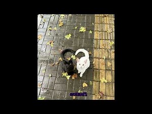 jersey club x pluggnb type beat - not 4 me