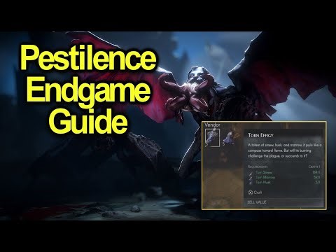 Pestilence Full Guide | How the endgame system works | No rest for the wicked Together