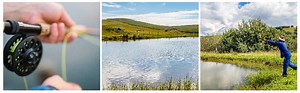 Fly fishing in South Africa - HOYOHOYO Hotels & Resorts
