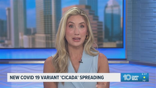 New COVID-19 variant Cicada found in Florida