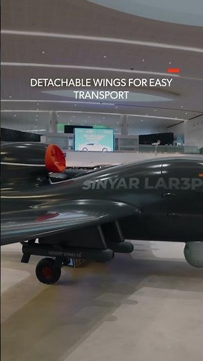 Introducing the SINYAR LAR3P: Lightweight and Fast Unmanned Combat Aerial Vehicle