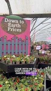 We've got everything you need to grow the perfect garden, AND they could be yours for under £15 each! 🌱 Find your local Cherry Lane here 👉 https://bit.ly/4a5qBEn | Cherry Lane Garden Centres