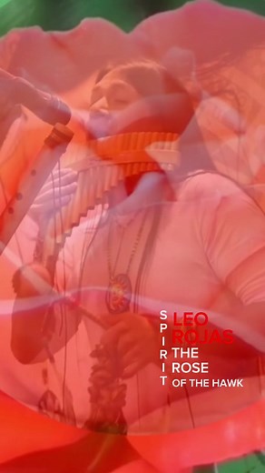 Leo Rojas Spirit of the Hawk Music Album