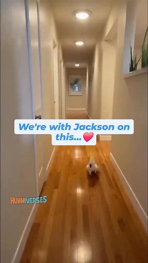 We're frankly with Jackson on this..Music all day..all night ❤️ | MF Robots