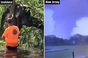 Cow gets stuck in TREE during Hurricane Ida as footage shows huge tornado in NJ