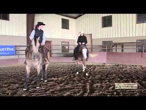Neck vs Direct Reining - Barbara Williams
