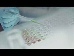 Bandwagon Appeal | Commercial