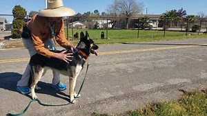 24 reactions · 3 comments | One the most important parts of the Tug...