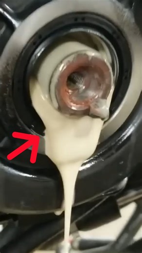 Vehicle Won't Move & 4WD Fail | Just Rolled In