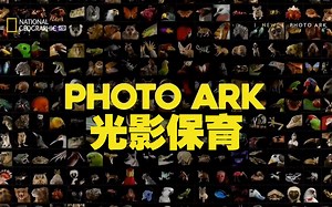 [国家地理]光影保育 e01[繁中]